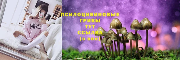 эйфоретик Верея